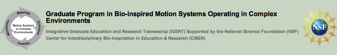CiBER-IGERT