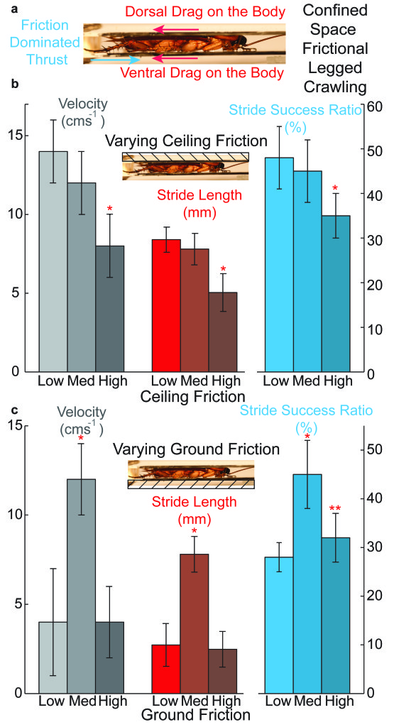 PNAS16_Fig3