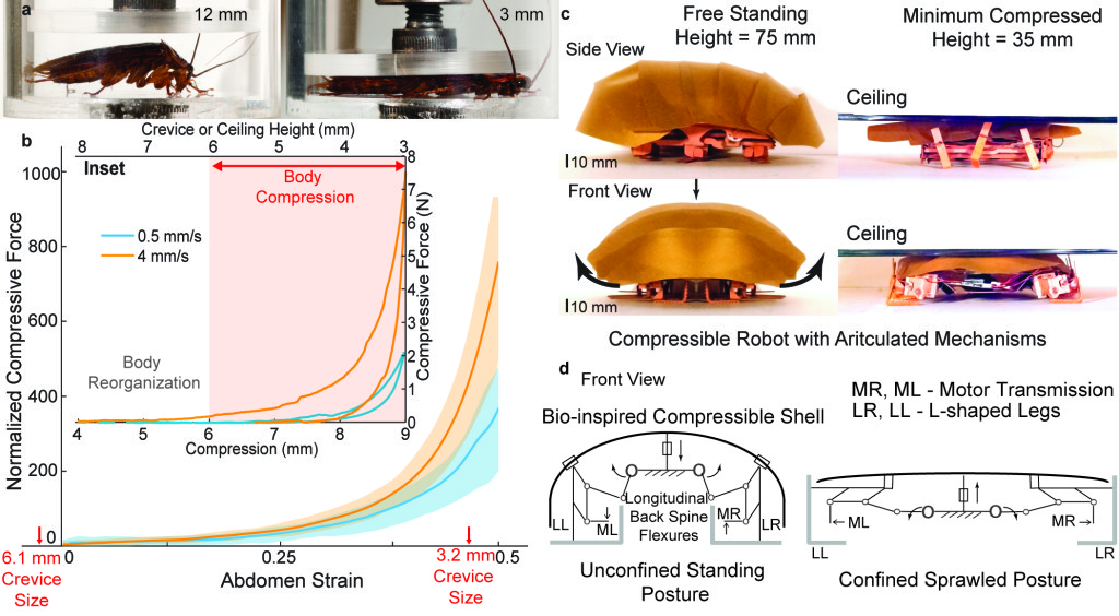 PNAS16_Fig5