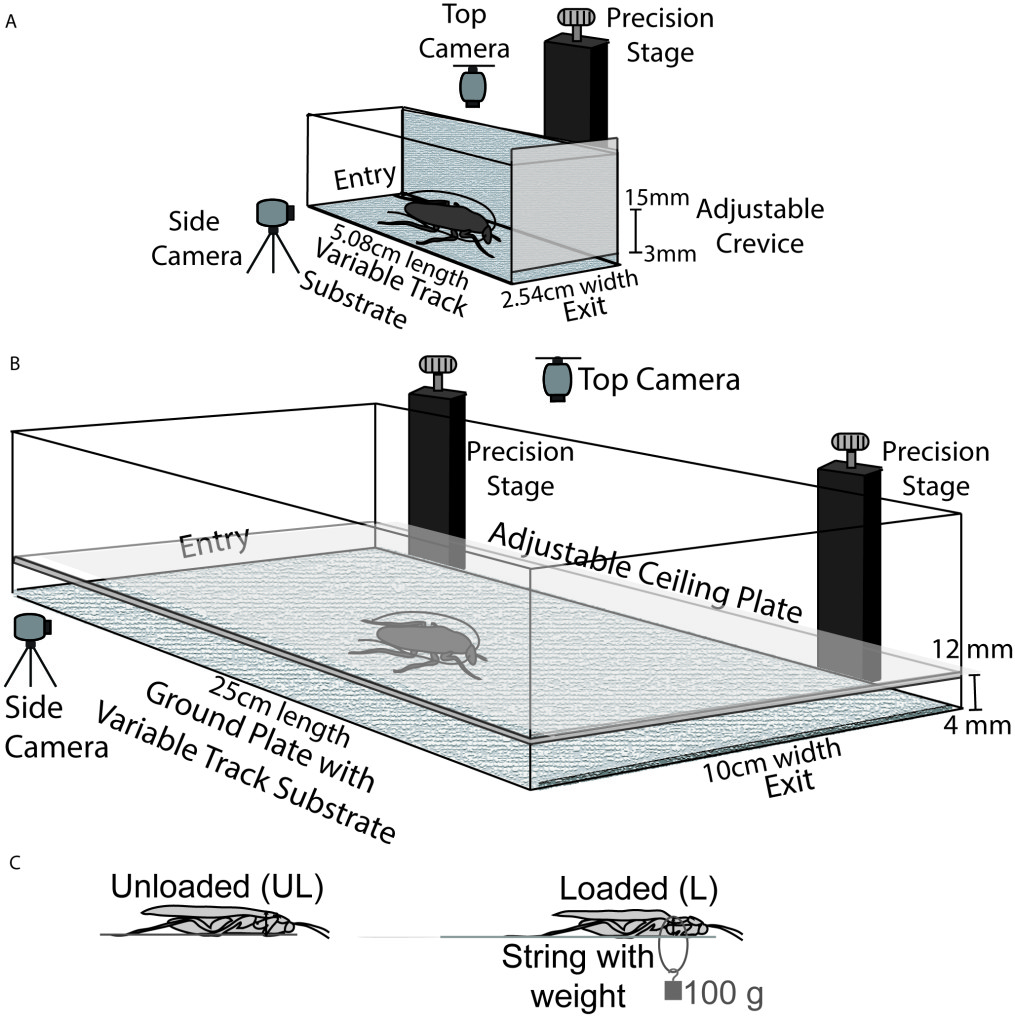 PNAS_SI_Fig1